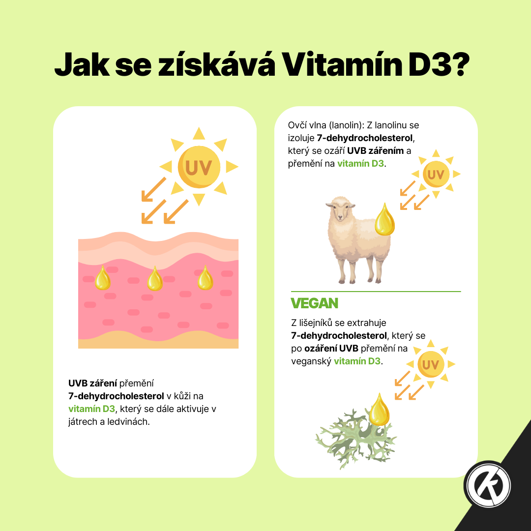 infografika